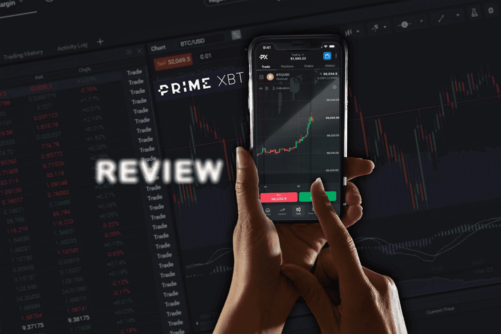 Exploring PrimeXBT Forex Features for Every Trader
