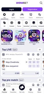 Все, что нужно знать о wowbet на русском